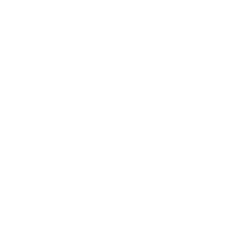 Lease Extensions and Enfranchisement Services